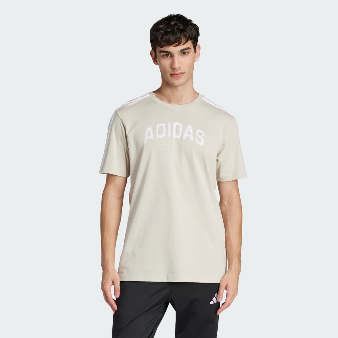 Koszulka Codes Collegiate Linear Graphic